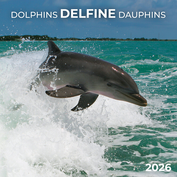 Kalenteri 2027 Dolphins