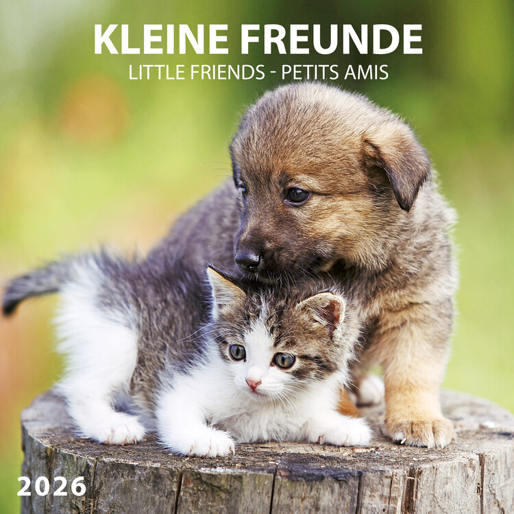 Calendar 2027 Little Friends