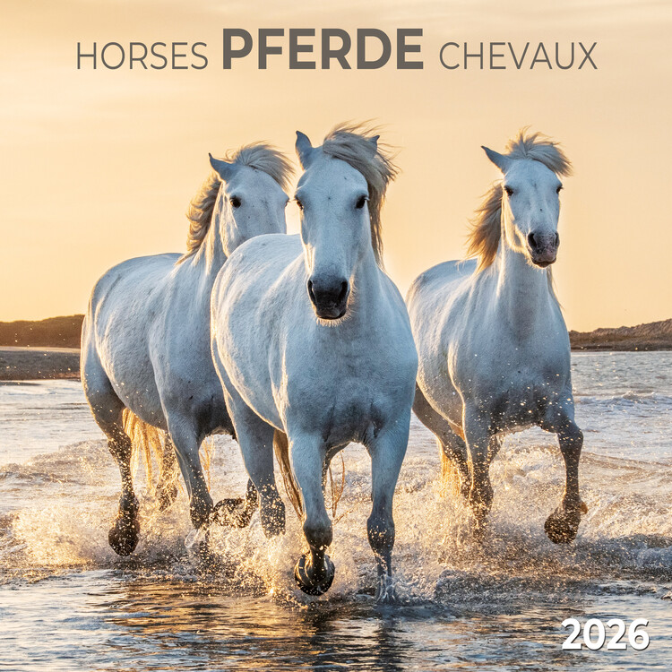 Ημερολόγιο 2027 Horses