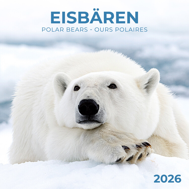 Kalenteri 2027 Polar Bears