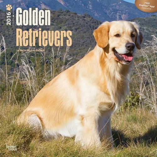 Ημερολόγιο 2027 Golden Retriever