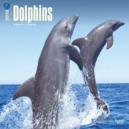 Calendar 2027 Dolphin