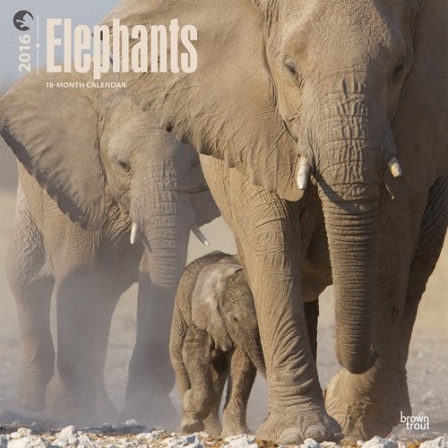Calendar 2027 Elephants