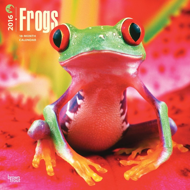 Calendar 2027 Frogs