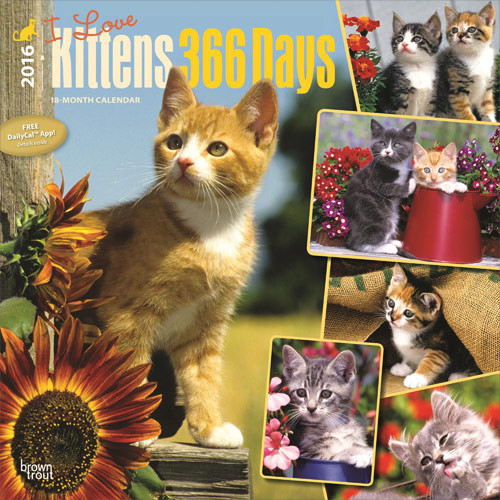 Calendar 2027 Kittens