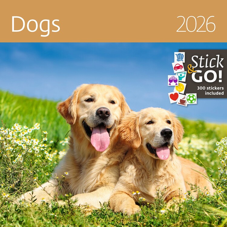 Kalenteri 2027 Dogs