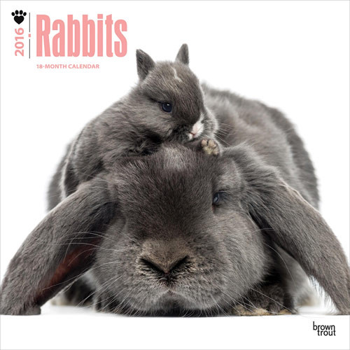 Calendar 2027 Rabbits