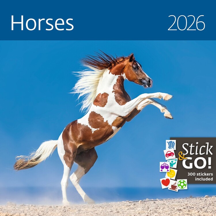 Calendar 2027 Horses
