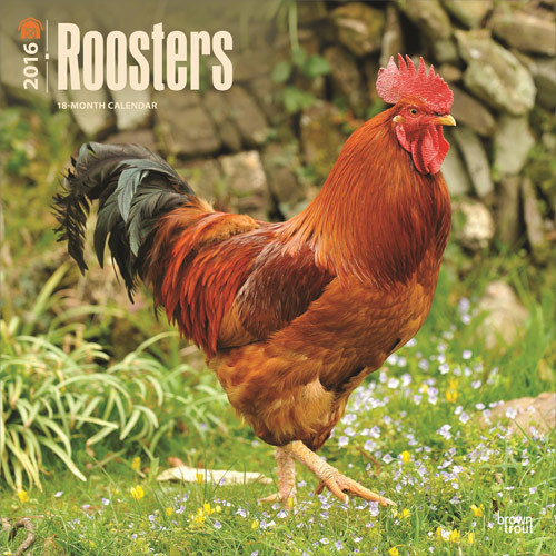 Calendar 2016 Roosters