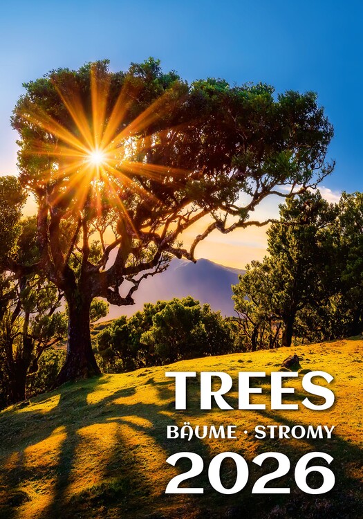 Ημερολόγιο 2027 Trees