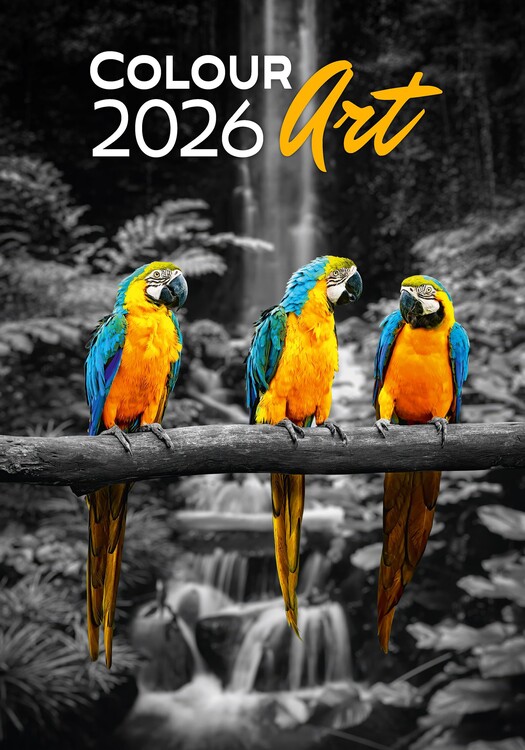 Ημερολόγιο 2027 Colour Art