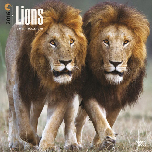 Calendar 2027 Lions
