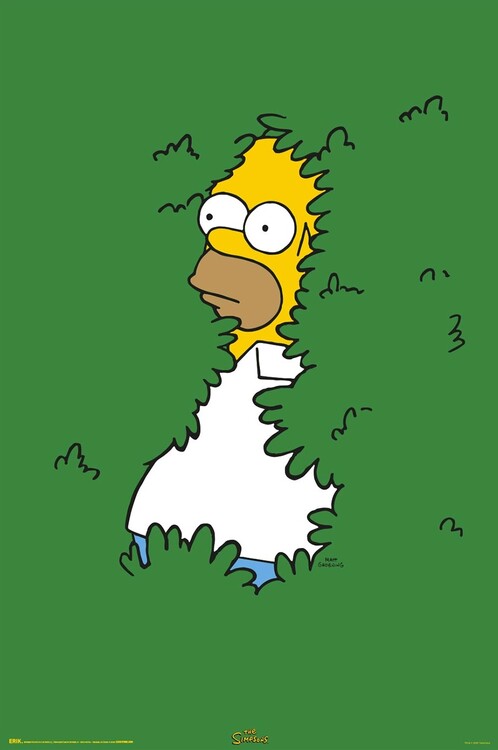Плакат The Simpsons - Homer in the Bush