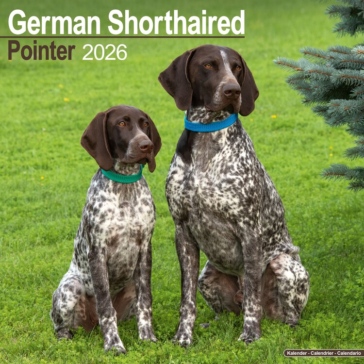 Calendar 2027 German ShortHair Pointer