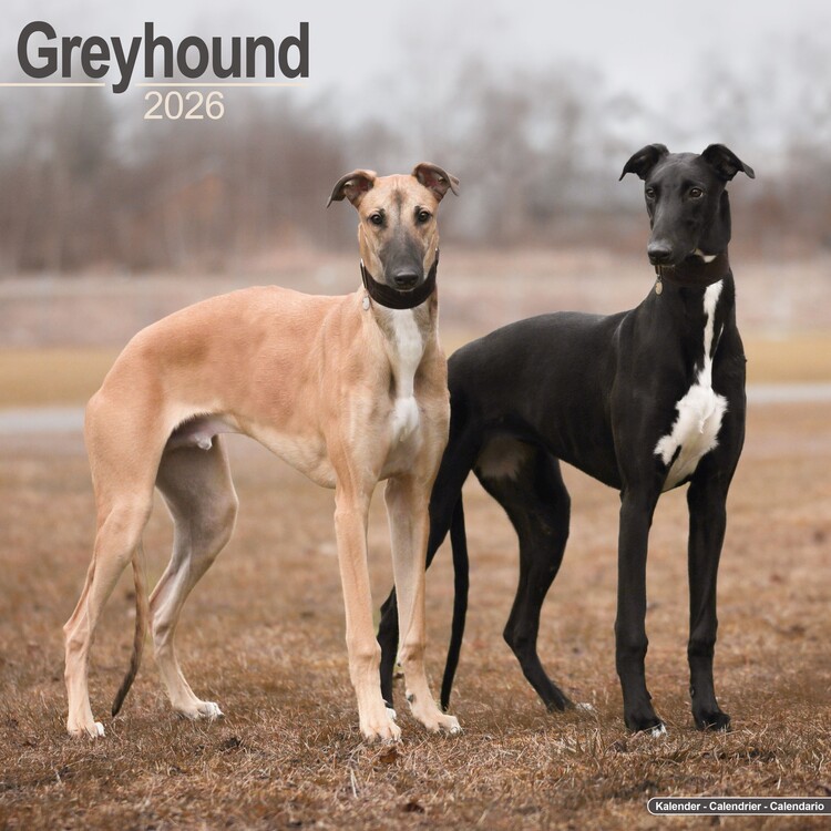 Calendar 2027 Greyhound