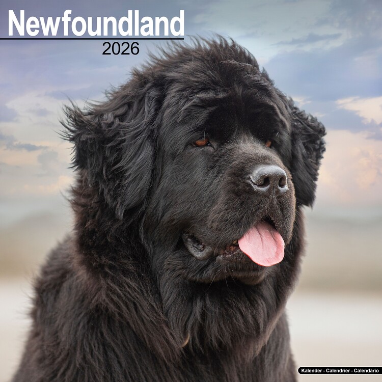 Kalenteri 2027 Newfoundland