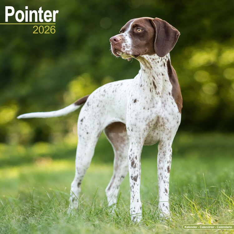 Календар 2027 Pointer