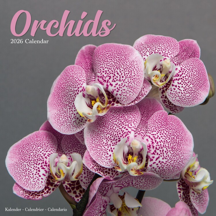 Calendar 2027 Orchids