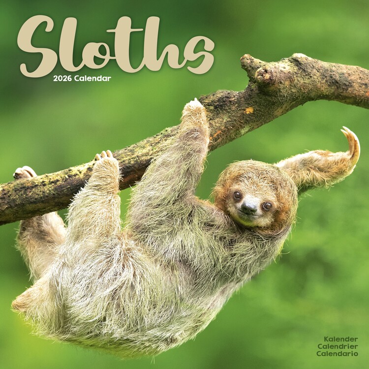 Calendar 2027 Sloths