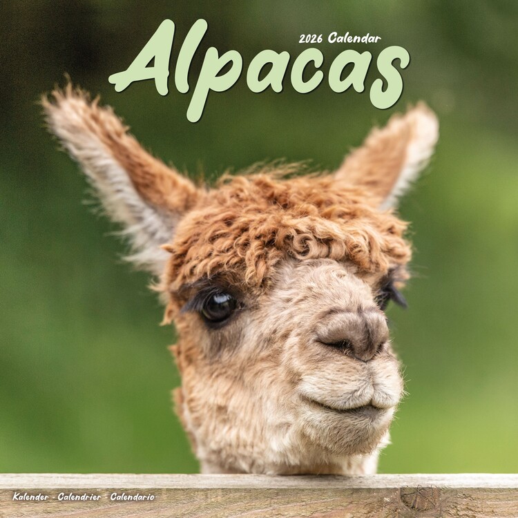 Kalenteri 2027 Alpacas