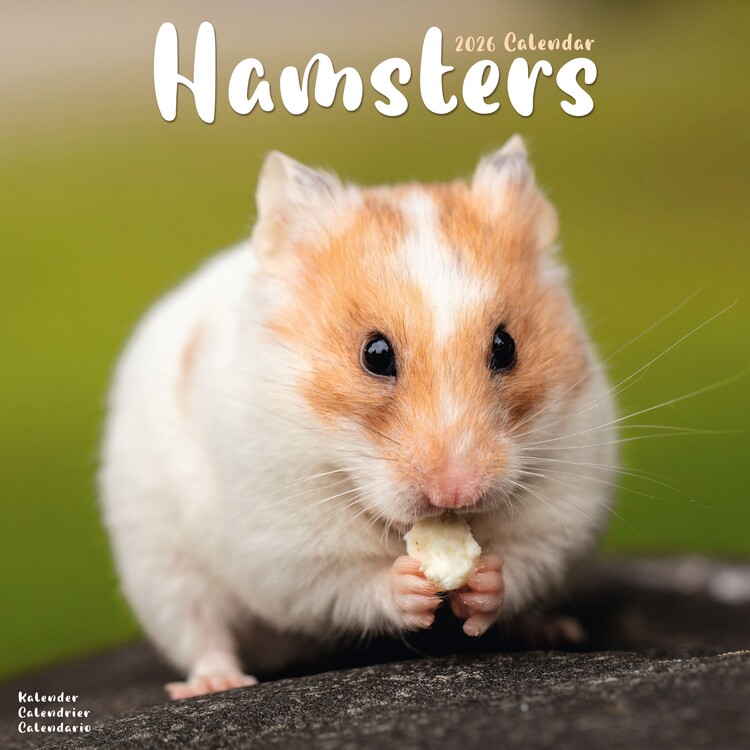 Kalenteri 2027 Hamsters