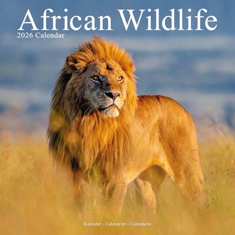 Calendar 2027 African Wildlife