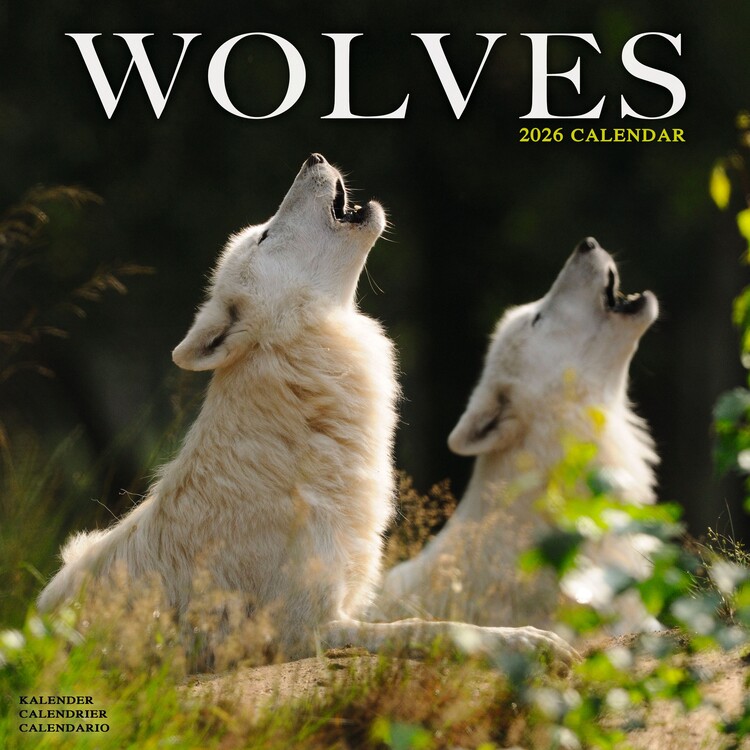Calendar 2027 Wolves