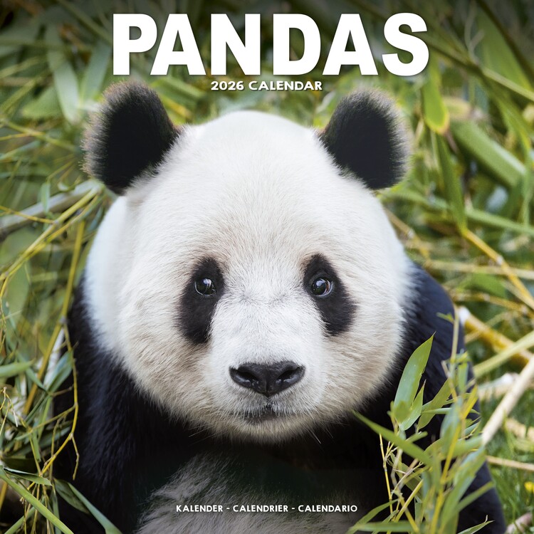 Kalenteri 2027 Pandas