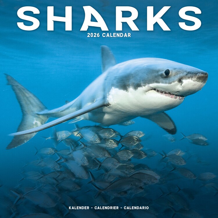 Ημερολόγιο 2027 Sharks