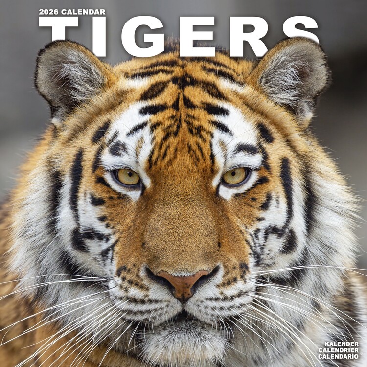 Kalenteri 2027 Tigers