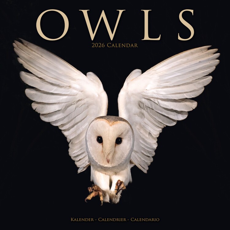 Ημερολόγιο 2027 Owls