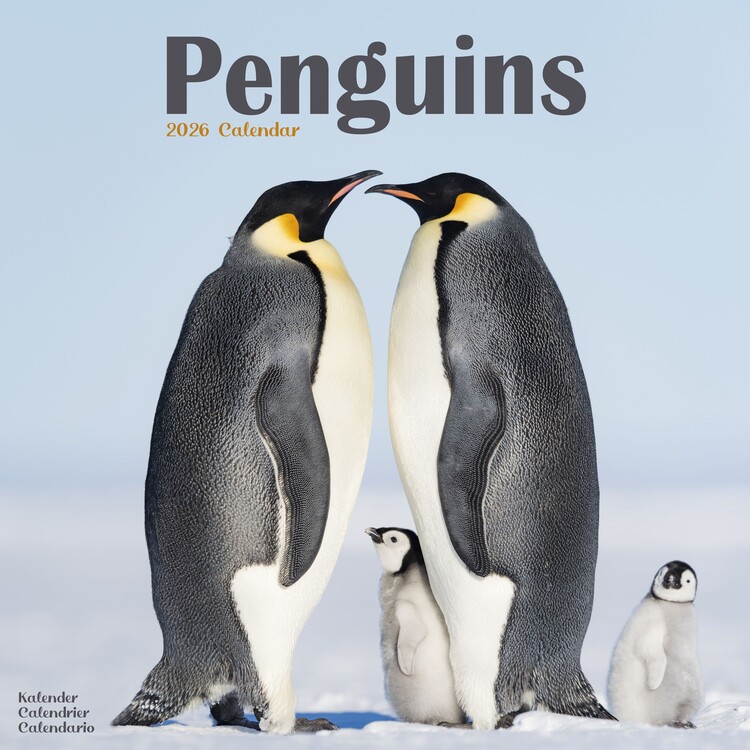 Calendário 2027 Penguins