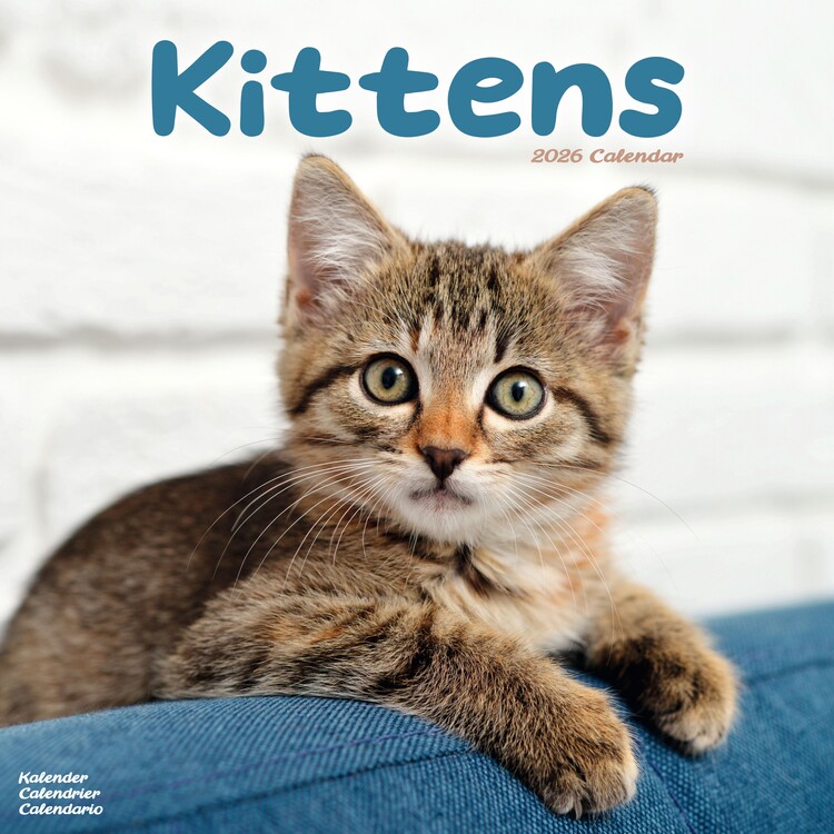 Koledar 2027 Kittens