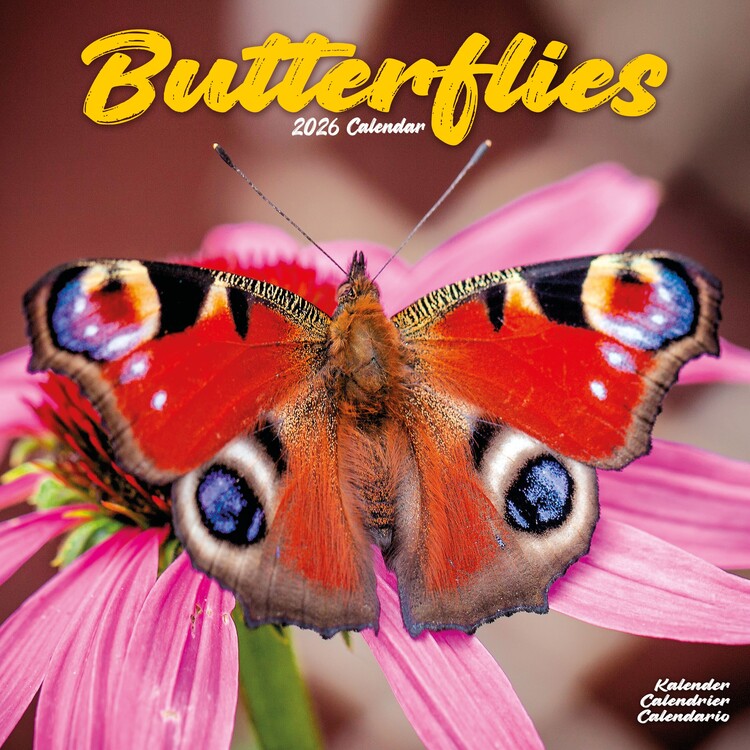 Календар 2027 Butterflies
