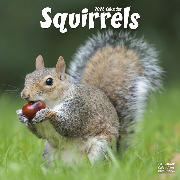 Kalendar 2027 Squirrels