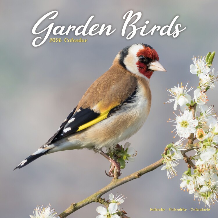 Календар 2027 Garden Birds