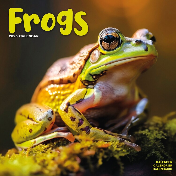 Kalenteri 2027 Frogs