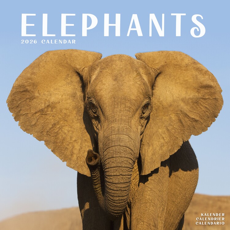 Calendar 2027 Elephants