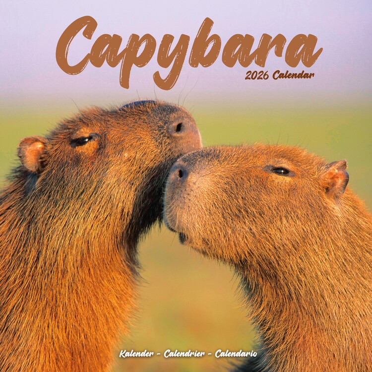 Календар 2027 Capybara