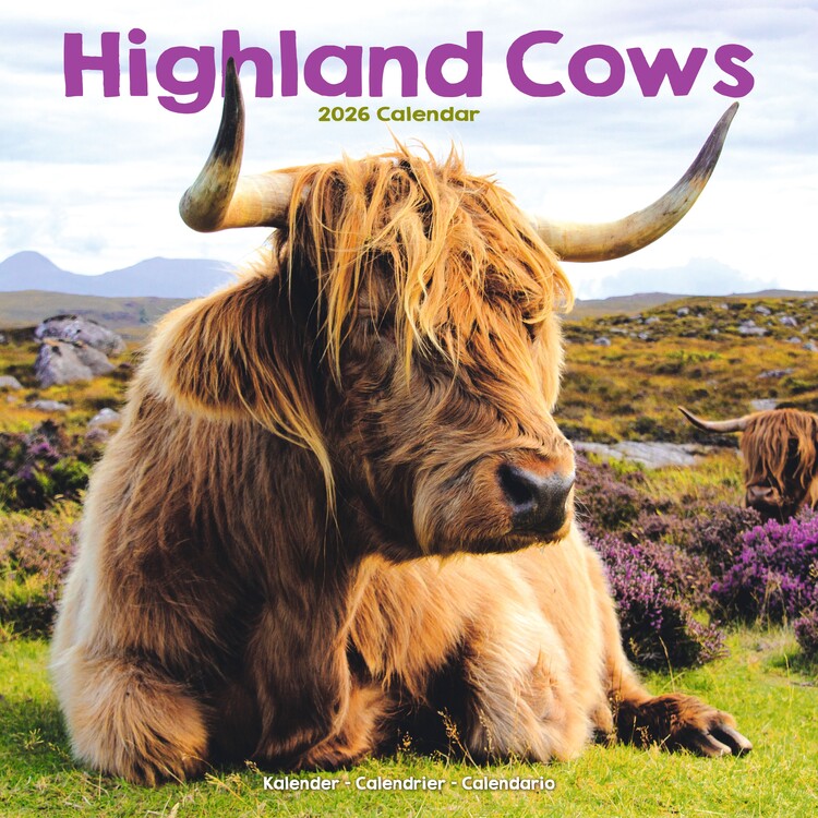 Calendar 2027 Highland Cows