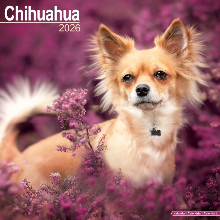 Календар 2027 Chihuahua