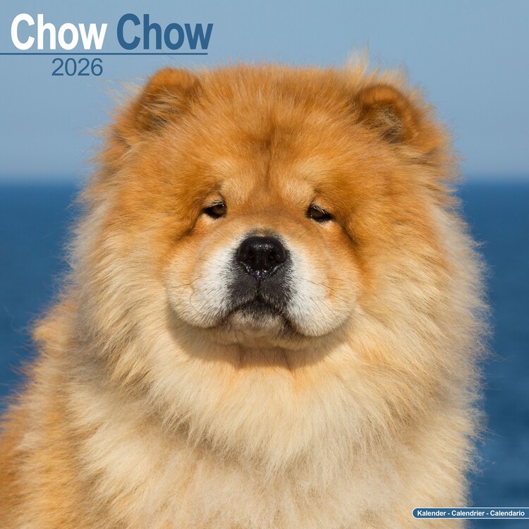 Calendar 2027 Chow Chow