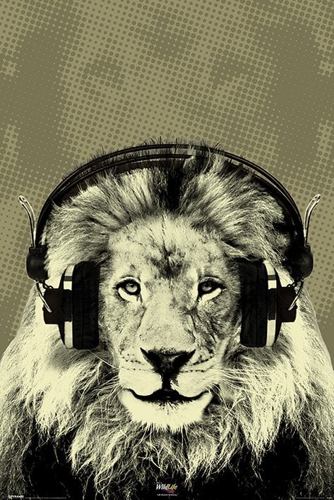 Плакат It's A WildLife - Spencer