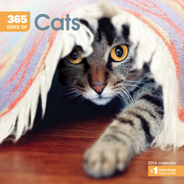 Calendar 2027 Cats