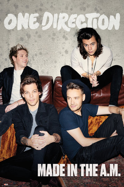 Плакат One Direction 1D - Made in the AM