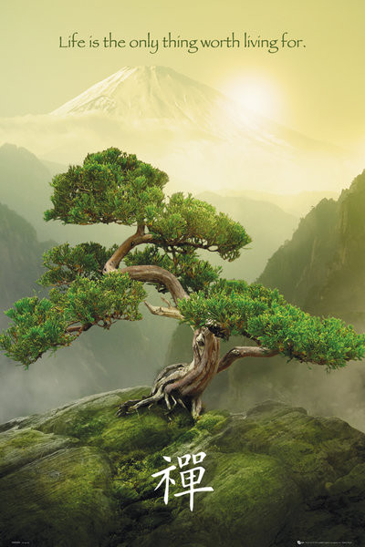 Uokvireni plakat Zen