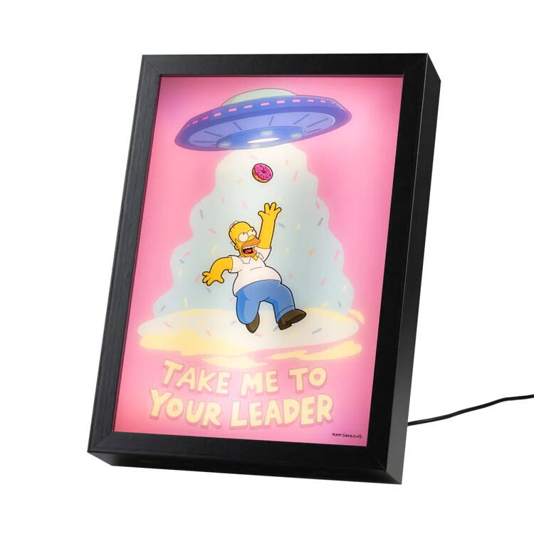 Κορνιζαρισμένη αφίσα The Simpsons - Take Me to Your Leader