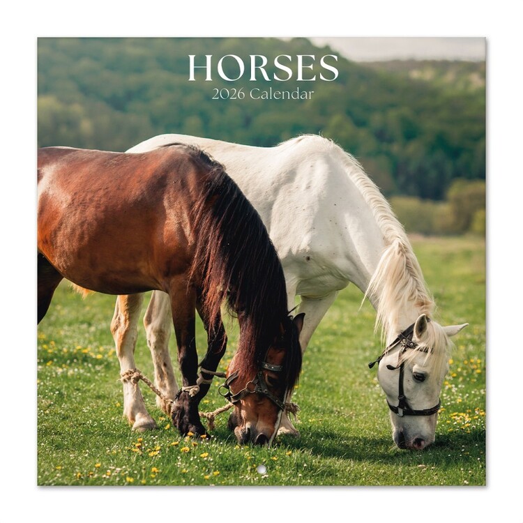 Calendar 2027 Horses