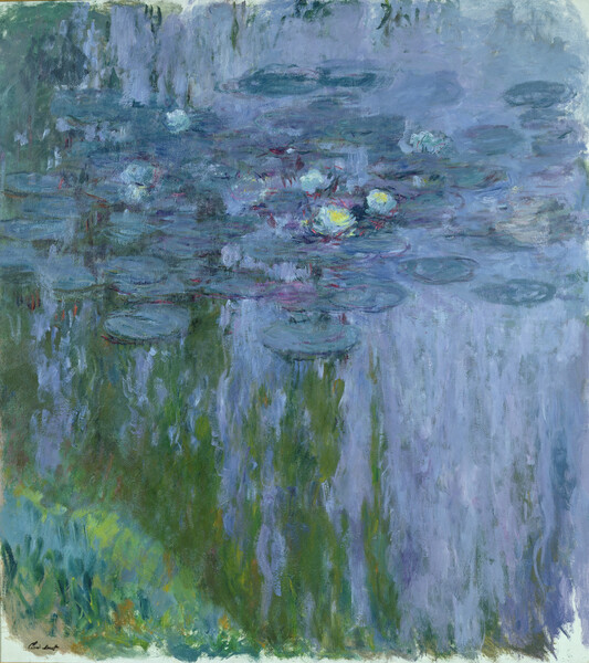 Плакат Waterlilies, 1916-19
