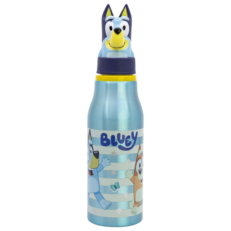 Garrafa Bluey - Stripes